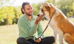 Как да общуваме с проблемите на pet и предупреждение